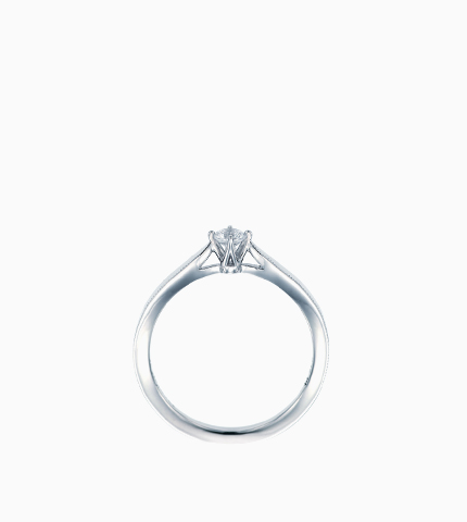 다니엘K 주얼리 - 칼리아